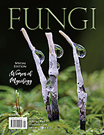 FUNGI  Magazine Winter 2012